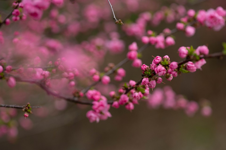 Finanzminister Habeck senkt Prognose: Nur noch 0,2 Prozent Wachstum erwartet