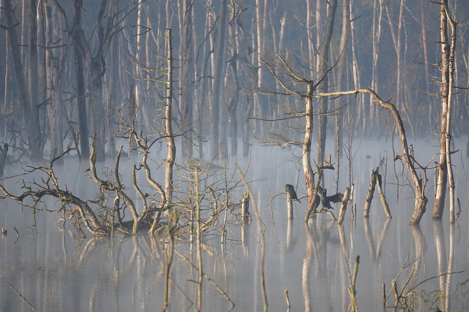 Das Bieterverfahren für das Karstadt-Gebäude in Bottrop ist beendet: Wie geht es weiter? Finanzexperte klärt auf.