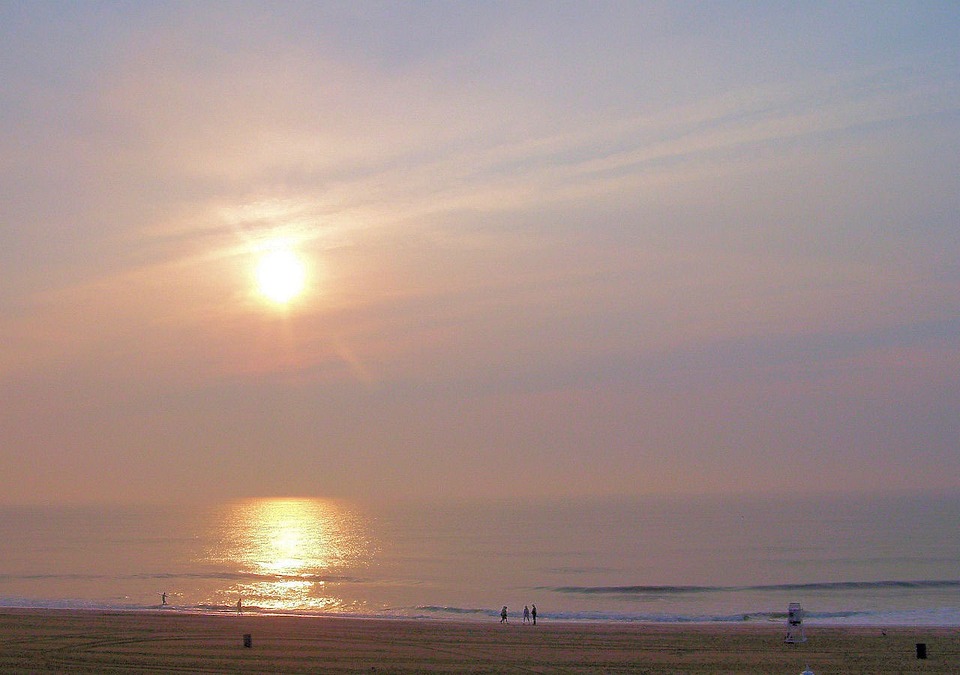 Finanzexperte analysiert Auswirkungen gestiegener Obst- und Gemüsepreise auf Verbraucherverhalten