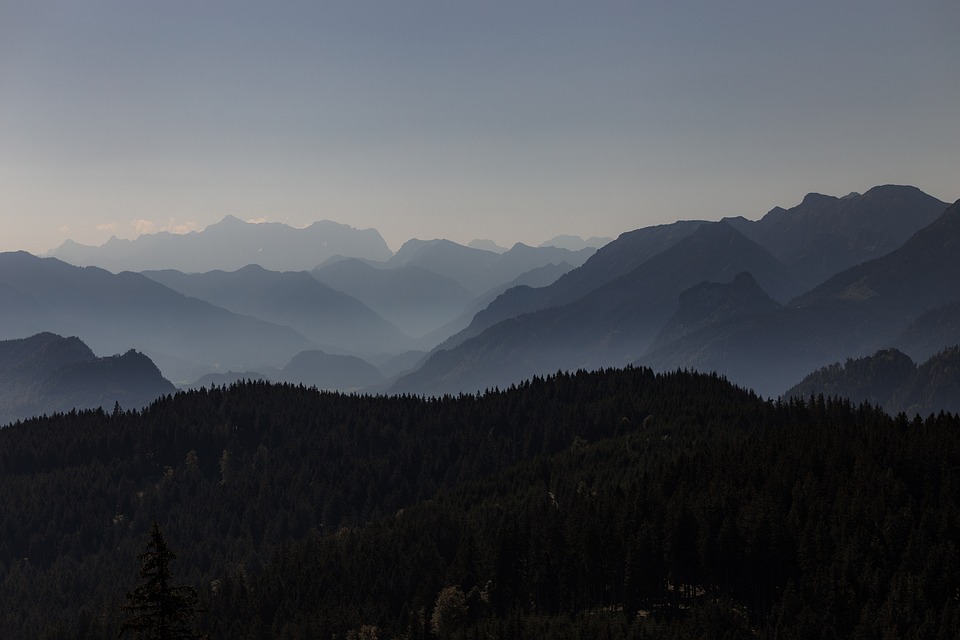 Sinkende Immobilienpreise in Österreich: Auswirkungen auf den Finanzmarkt