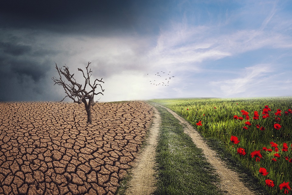 Finanzexperte warnt vor steigenden Versicherungskosten durch Klimawandel