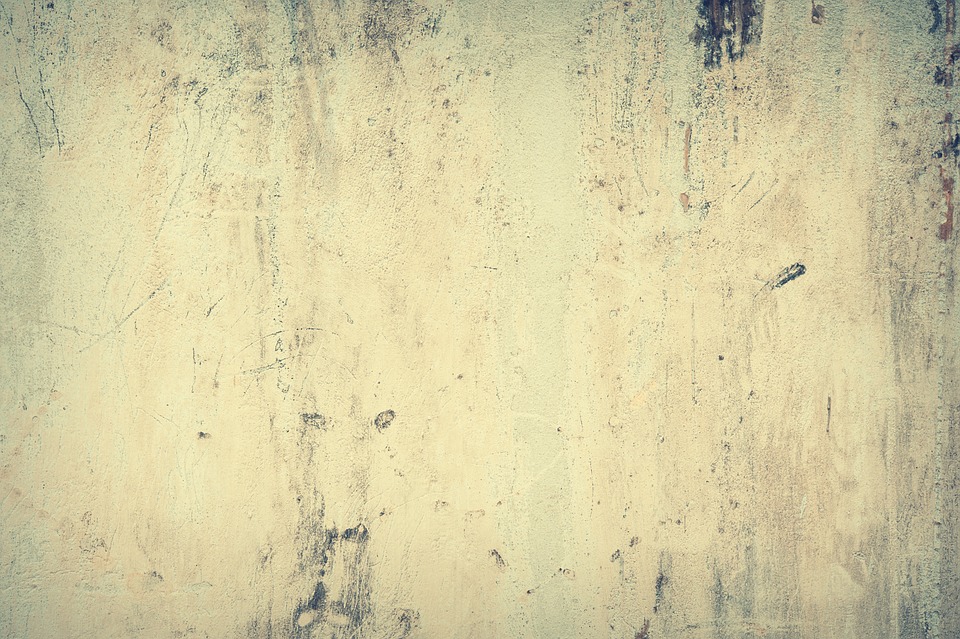 Wall Street auf Rekordhoch - Starke Quartalszahlen treiben Aktienindizes an, doch Arbeitsmarktdaten sorgen für Zinseuphorie.