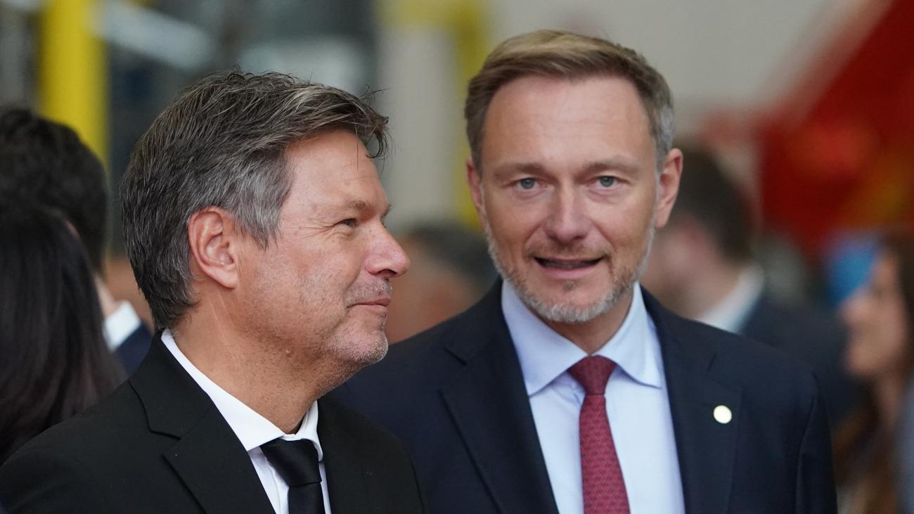 Finanzexperte kritisiert Habecks milliardenschweres Sondervermögen-Vorschlag