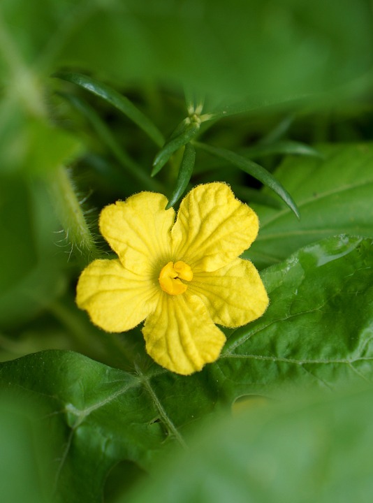Finanzexperten einig: Senkung der Unternehmenssteuern in Deutschland notwendig zur Stärkung der Wettbewerbsfähigkeit