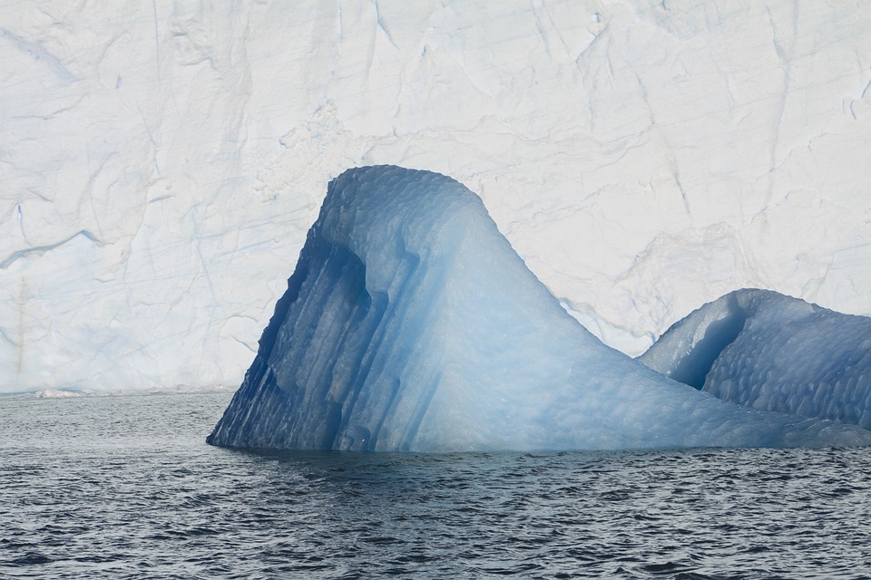 AfD-Wirtschaftspolitik: Expertin warnt vor massivem Schaden