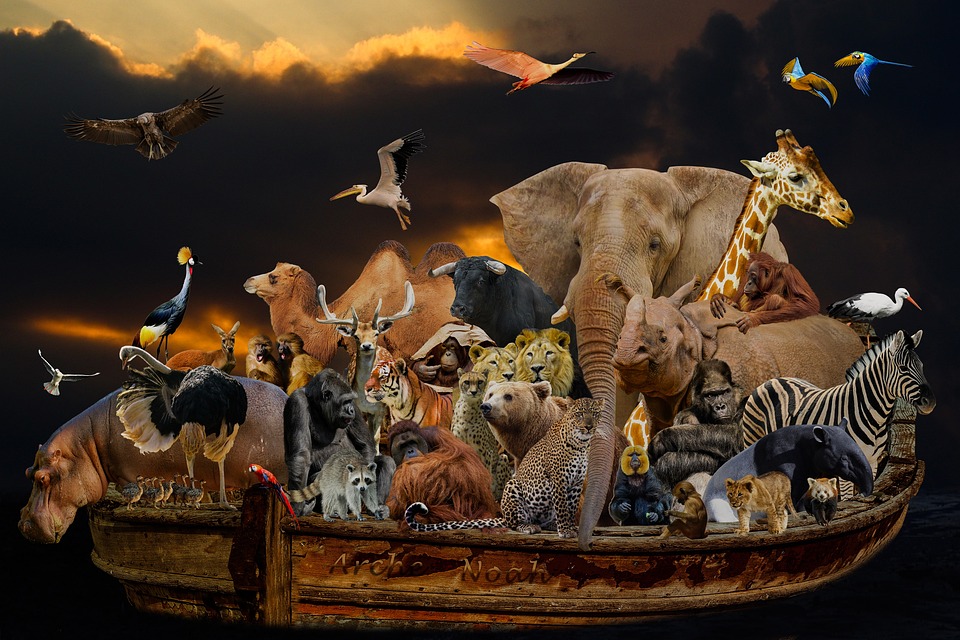 Ark Invest: ETFs mit hoher Volatilität im Fokus