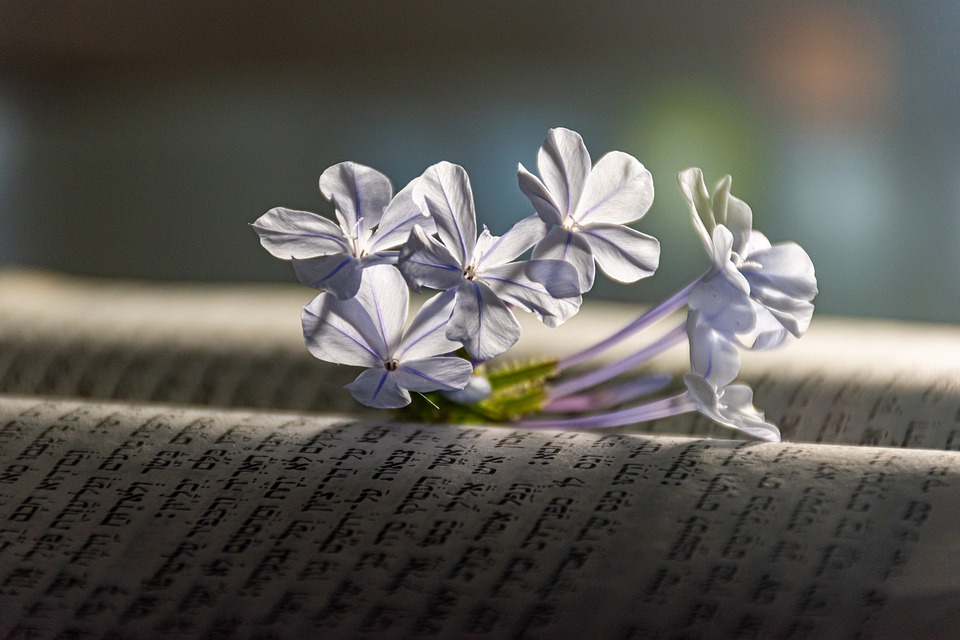 Börsenrendite: Spitzenreiter als Renditebringer