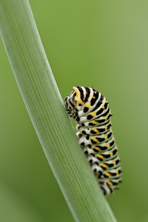 Caterpillar enttäuscht: Umsatzschwäche belastet Baumaschinenhersteller