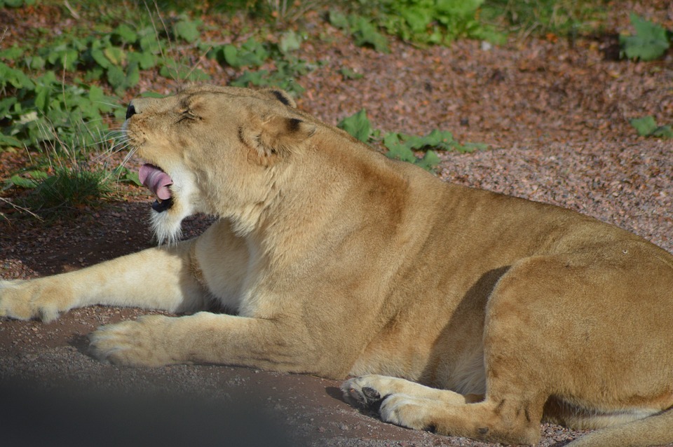 Corona-Lockdown verlängert: Neue Maßnahmen beschlossen.