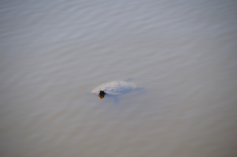 Corona-Pandemie: Impfkampagne in Deutschland gestartet - Hoffnung auf ein Ende der Krise