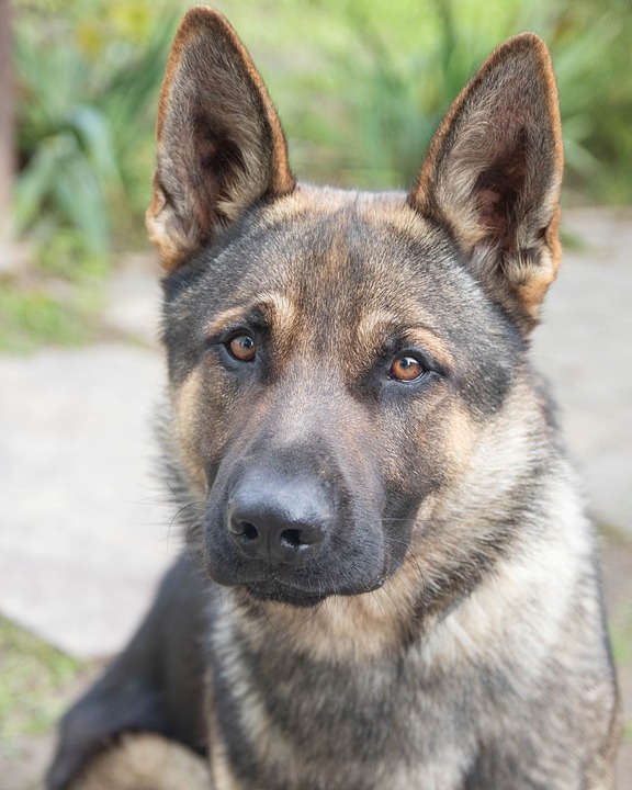 Deutsche Wirtschaft in der Krise: Warnungen vor Deindustrialisierung