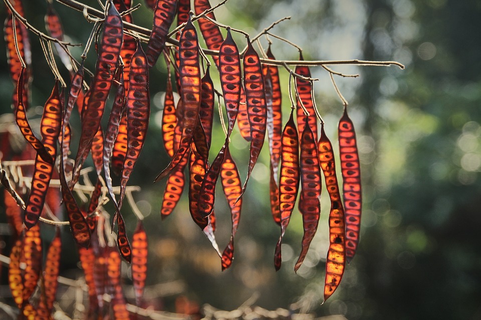 EU-Gipfel beschließt Wandel in Wirtschaftspolitik