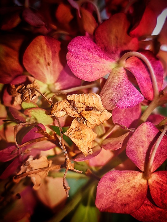 Elon Musk bringt günstigere Teslas früher auf den Markt