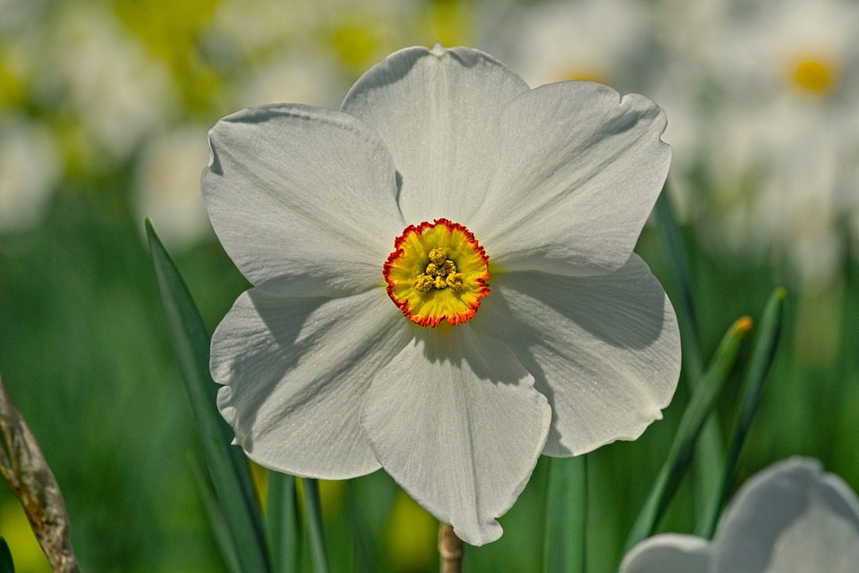 Fassadenpreis 2023: Münchens renovierte Schätze in Schaufensterausstellung