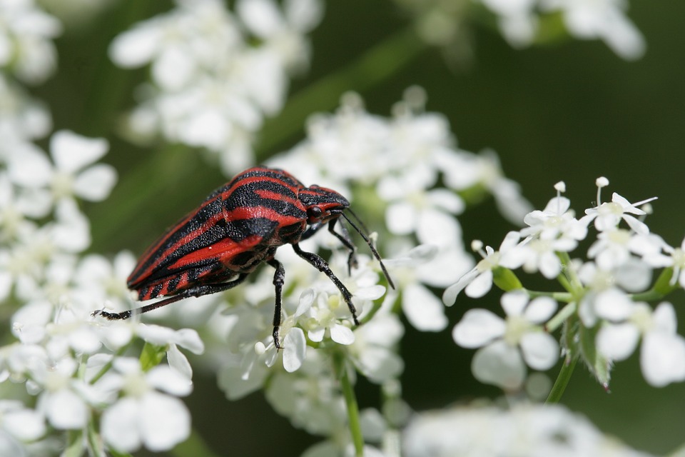 Fehler: Seite nicht gefunden - Was nun?