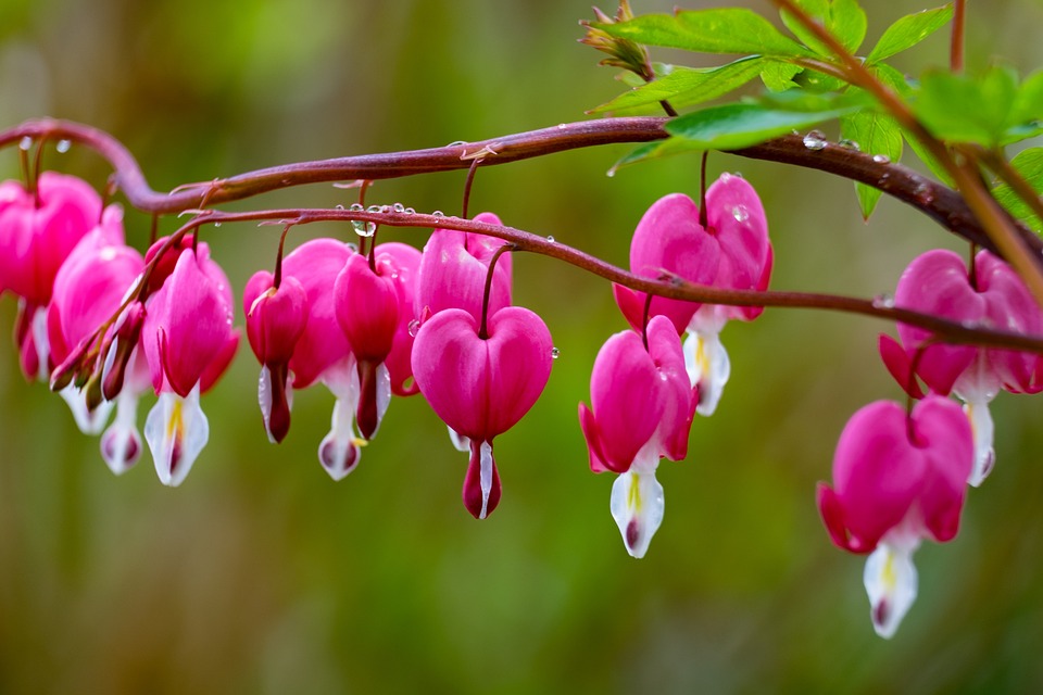 Finanzaufsicht BaFin stellt Insolvenzantrag gegen Deutsche Invest Immobilien