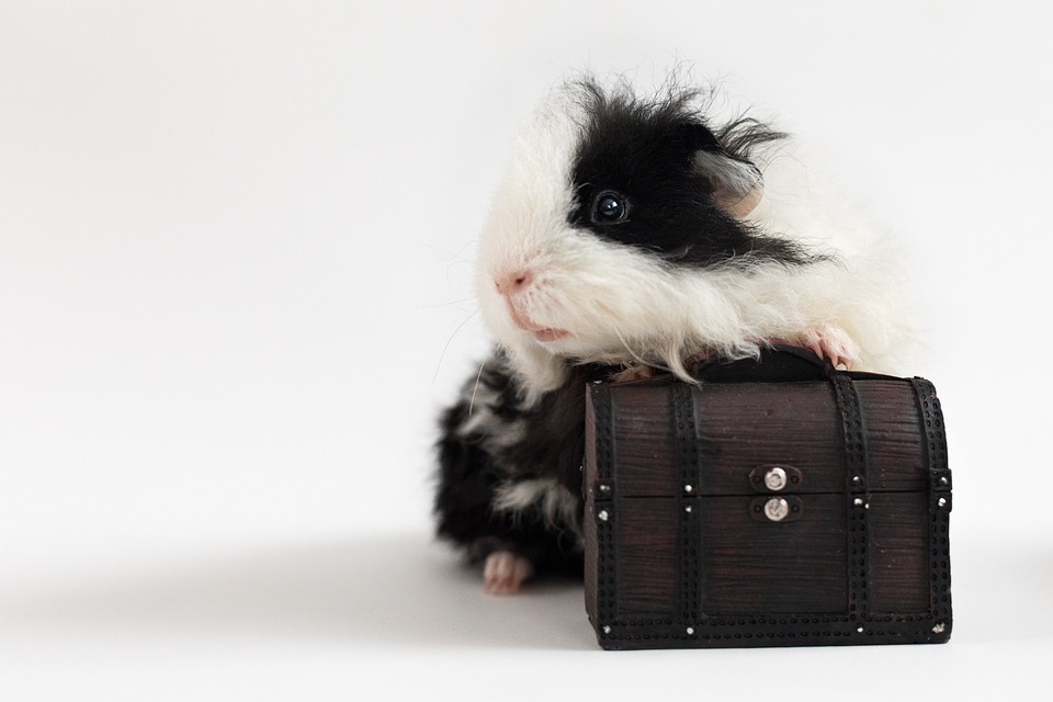 Gold-Rallye: Besserer Renditebringer als Dax und Wall Street