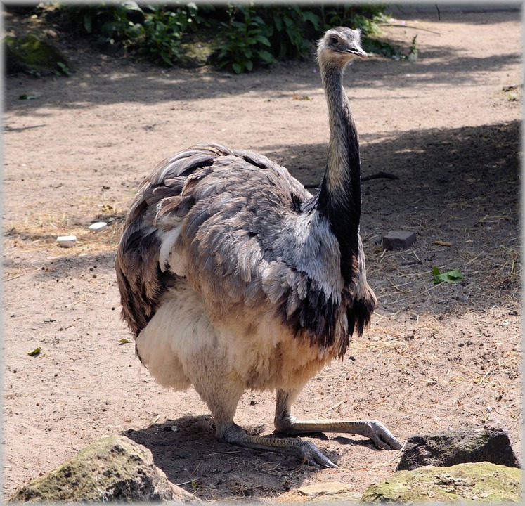 Größter Verlierer im Euro Stoxx 50: Adyen NV rutscht ab