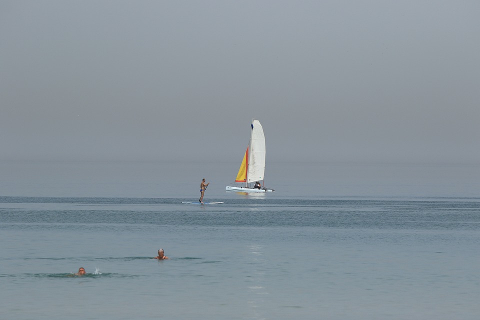 Hitzewelle verursacht Waldbrände: Experten warnen vor weiterer Ausbreitung