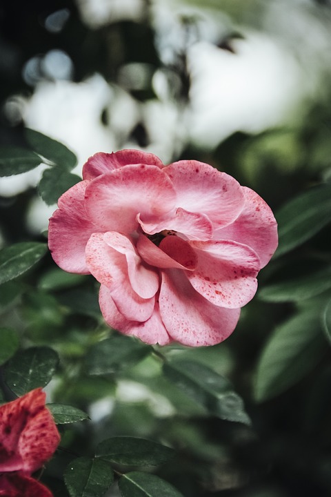 Keyword: F.A.Z. Podcast Finanzen &amp; Immobilien
Titel:  F.A.Z. Podcast jetzt abonnieren: Alle Folgen rund um Geldanlage!