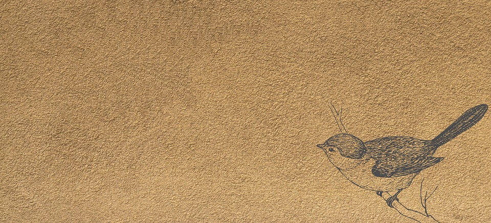 Keyword:  Paywall 

Titel:  Neues Angebot: Monats- und Jahresabo mit exklusiven Vorteilen