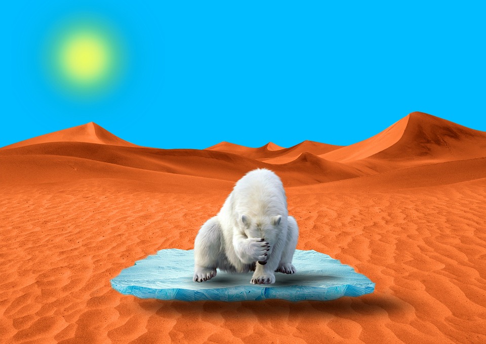 Klimakrise: Neue Studie zeigt dramatische Auswirkungen auf Artenvielfalt und Ökosysteme