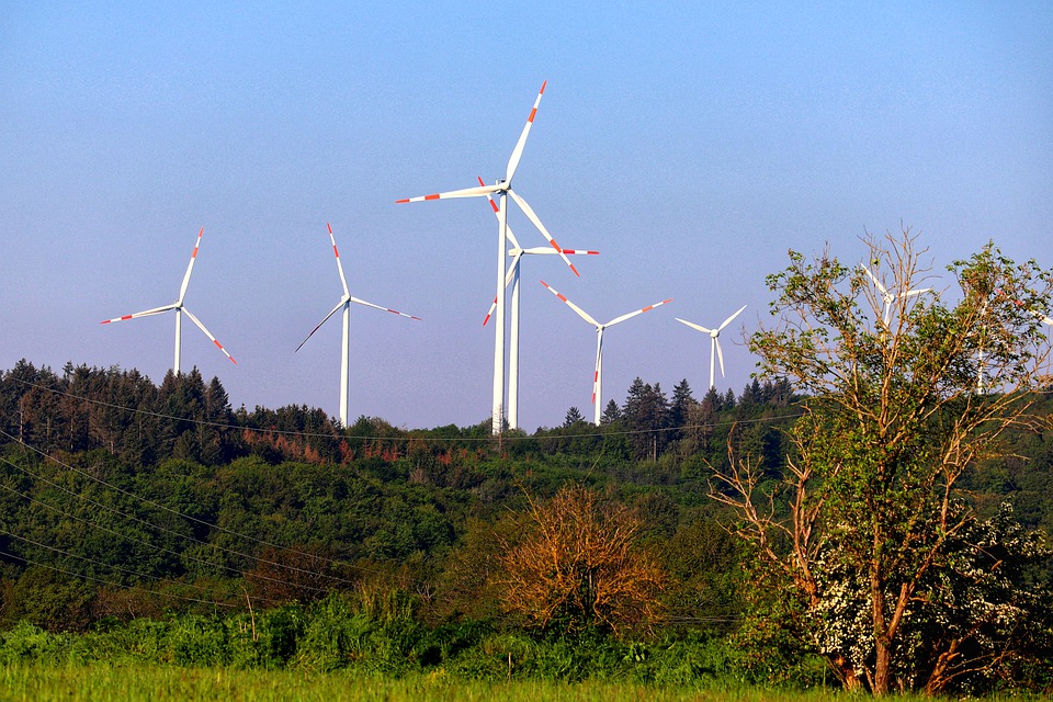 Klimaschutz: Neue Gesetze zur Reduzierung von CO2-Emissionen verabschiedet