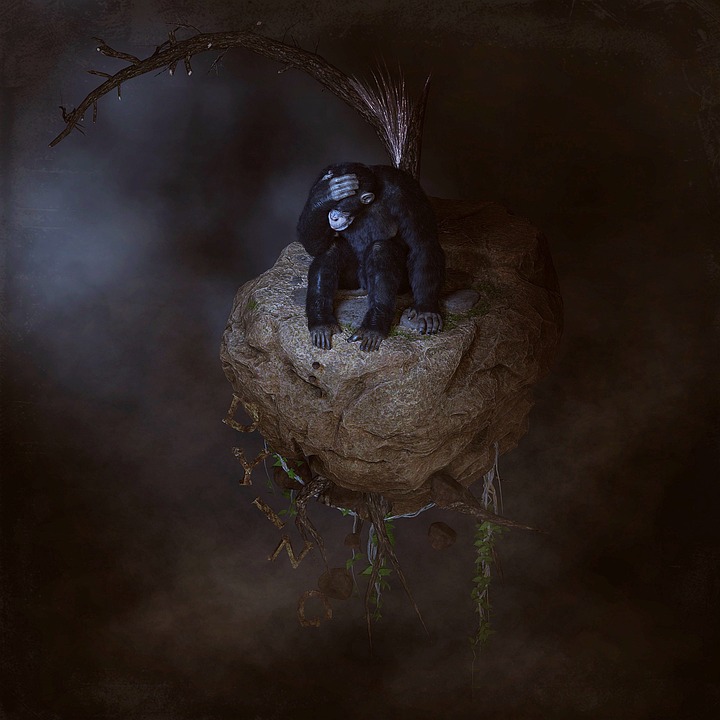 Klimaschutz: Neue Maßnahmen der Bundesregierung vorgestellt