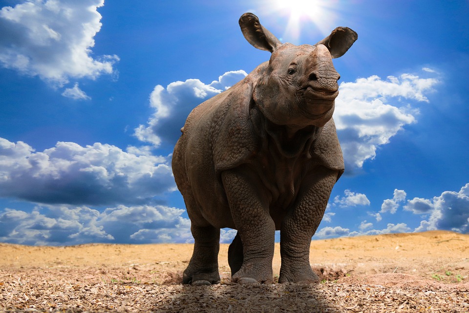 Klimaschutz: Neue Maßnahmen gegen CO2-Emissionen beschlossen