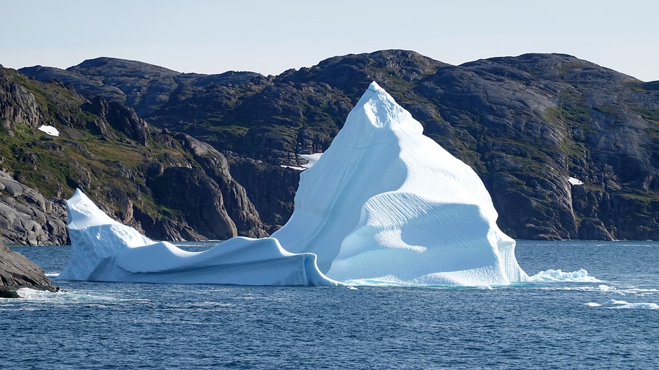 Klimawandel: Neue Studie zeigt dramatische Auswirkungen auf Artenvielfalt