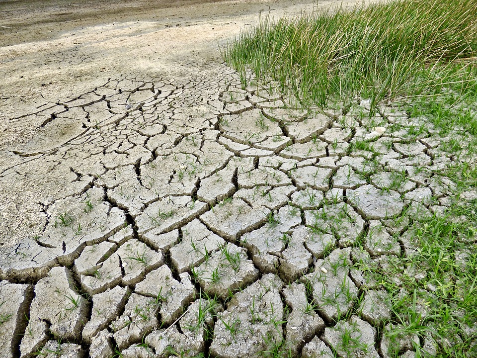Klimawandel: Studie entlarvt dramatische Auswirkungen auf die Arktis   
Studie zeigt verheerende Folgen des Klimawandels in der Arktis