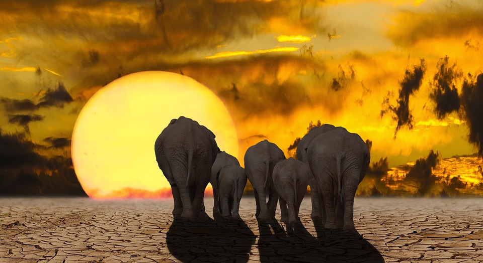 Klimawandel verursacht 38 Billionen Euro Schäden jährlich