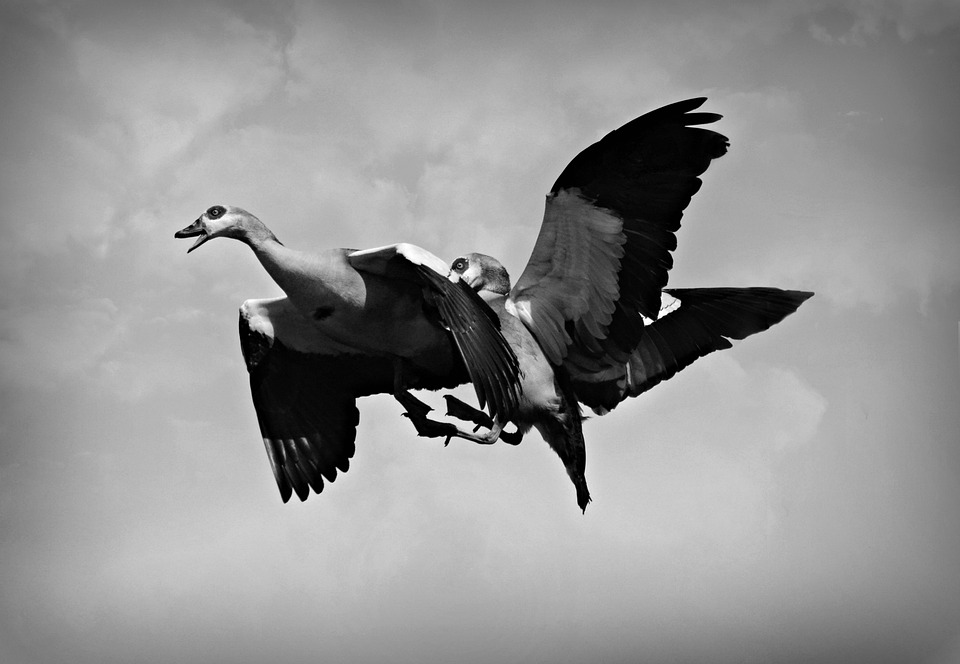 Krankenkassen und Abnehmspritzen: Streit um Kostenübernahme