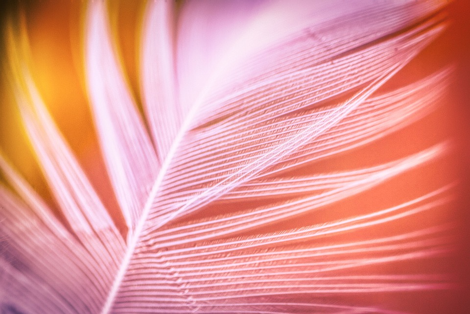 MDAX verliert leicht: Aroundtown SA führt Gewinnerliste an