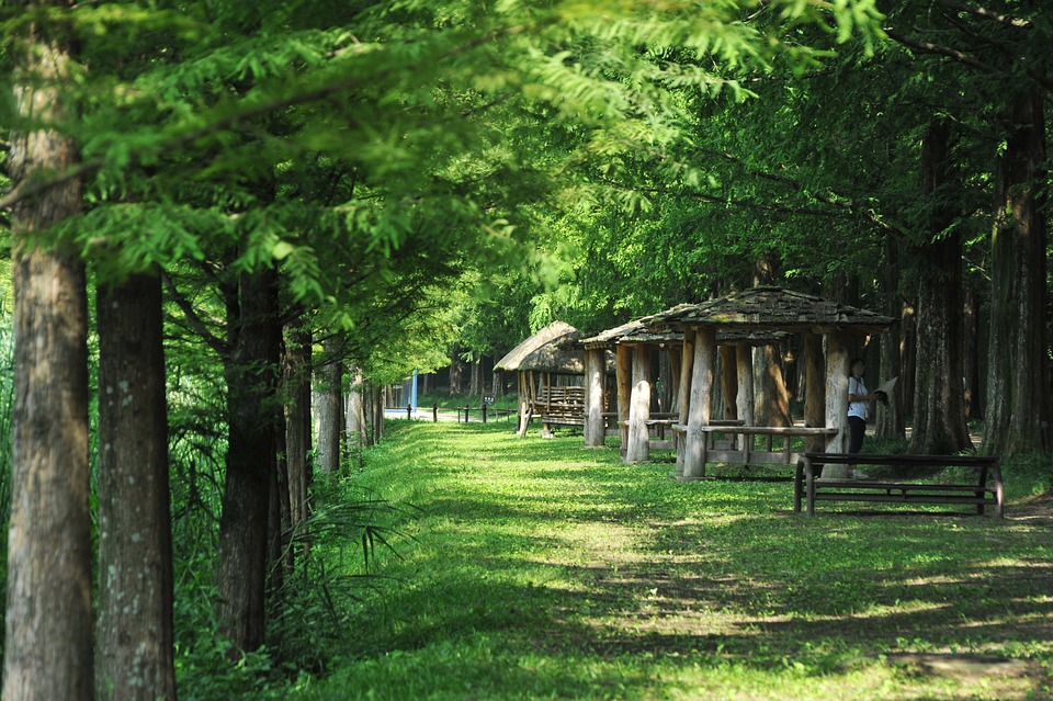 Meta Platforms: Umsatz steigt im ersten Quartal 2024 auf 36,46 Milliarden - Investitionen alarmieren Anleger