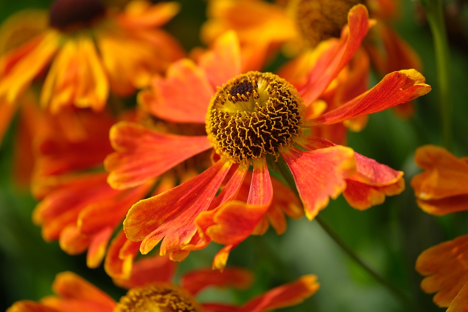 Mt. Gox plant den Verkauf von Bitcoin