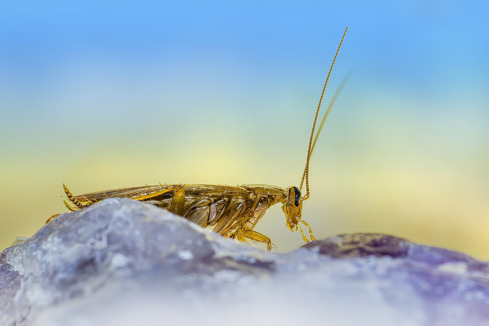 Resilienz-Index: Deutsche Wirtschaft in Gefahr