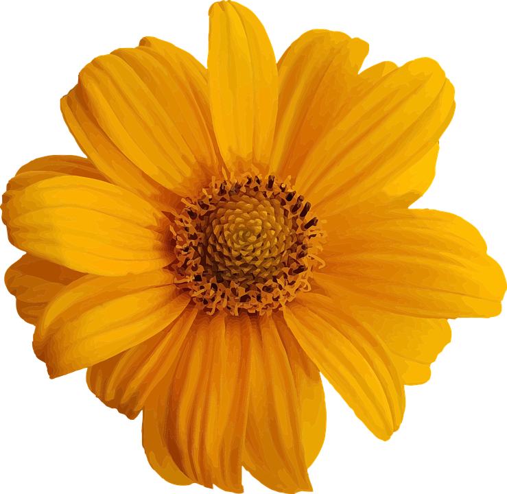 Stahlbranche unter Druck: Thyssenkrupp kündigt drastische Maßnahmen an