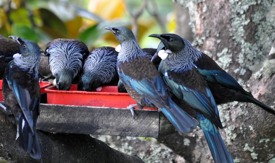 TUI kehrt ans deutsche Börsenparkett zurück