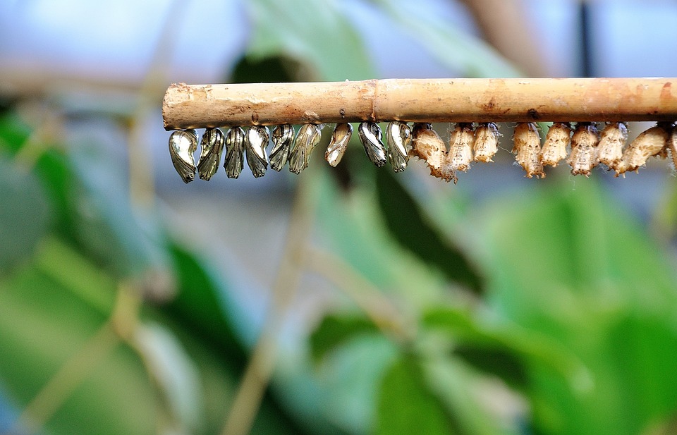 TecDAX schließt im Minus: Entwicklungen und Top/Flops am Mittwoch