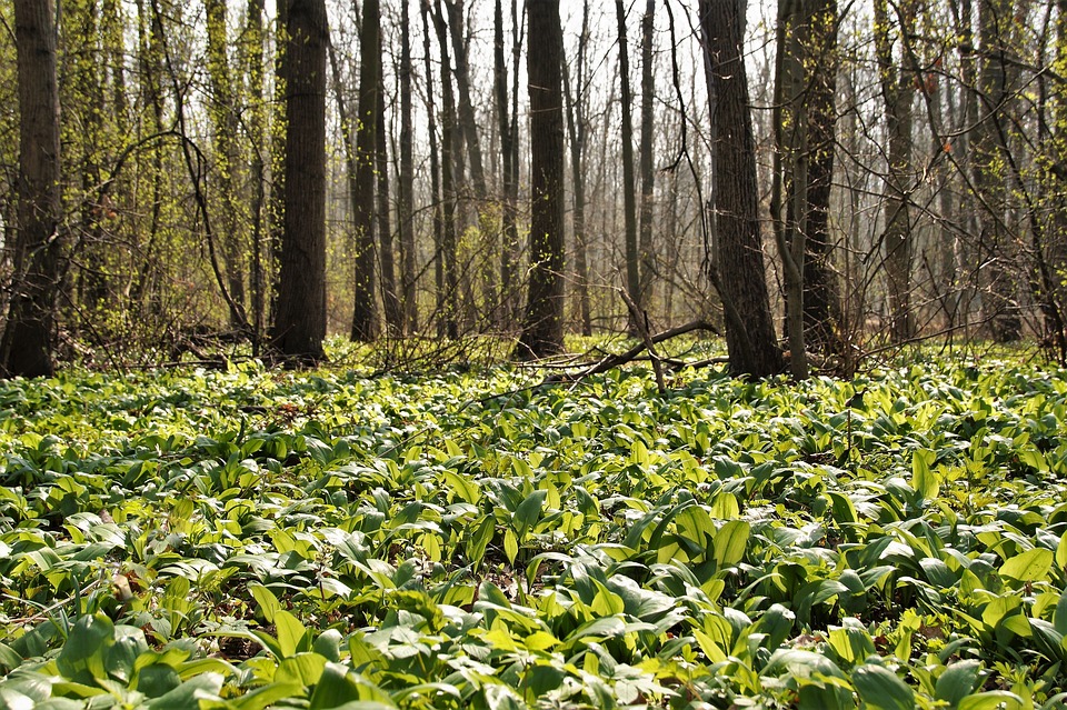 **Umfrage: Deutsche Jugendliche bevorzugen Online-Shopping**