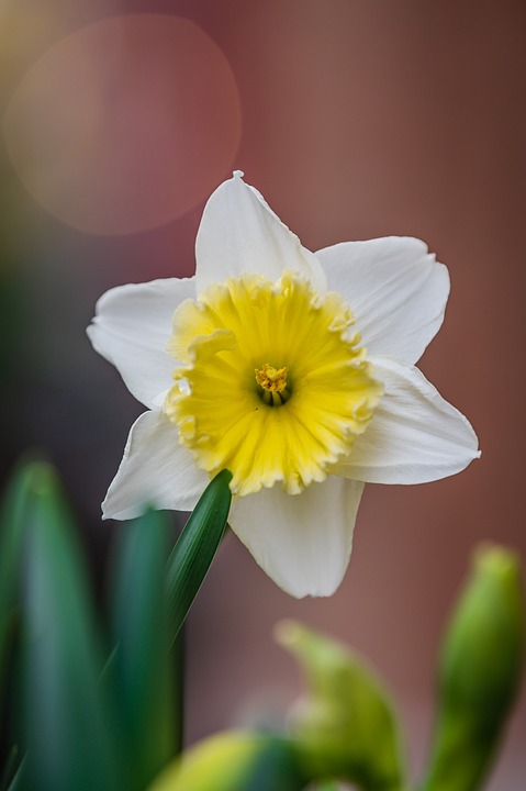 Umweltschutz: Globale Initiative gegen Plastikmüll in den Ozeanen gestartet