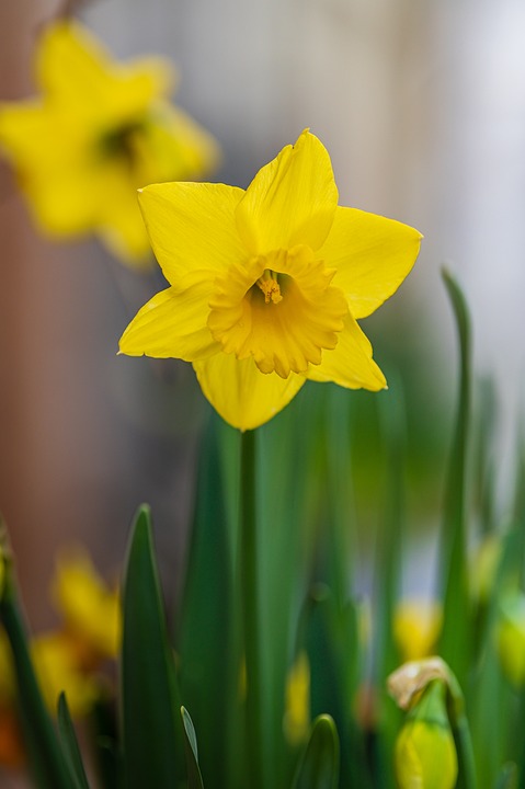 Umweltschutz: Neue Maßnahmen gegen Plastikmüll in Deutschland umgesetzt
