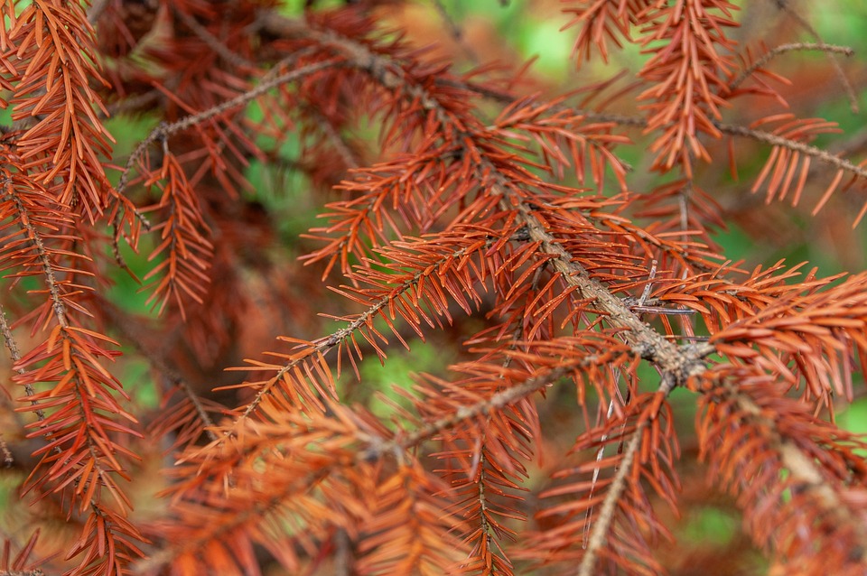Verbraucherzentrale plant Sammelklage gegen Amazon-Prime Video