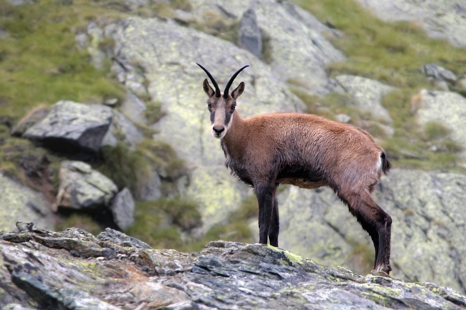 Hohe Preisunterschiede: Immobilienchancen in deutschen Großstädten