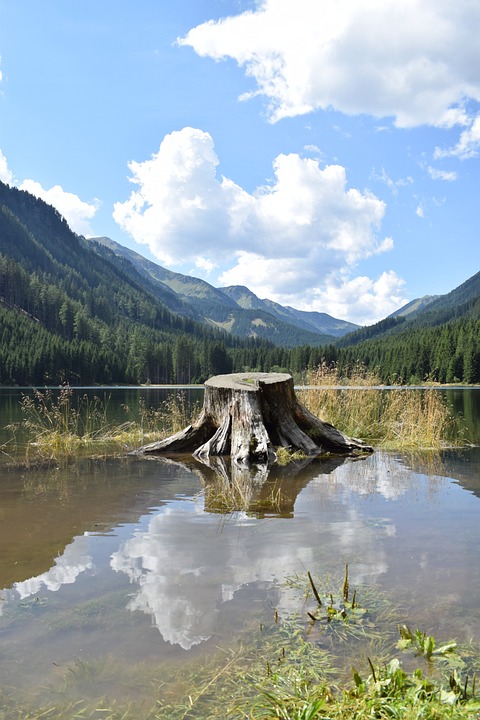 ING Groep: Nettozinserträge im ersten Quartal gesunken