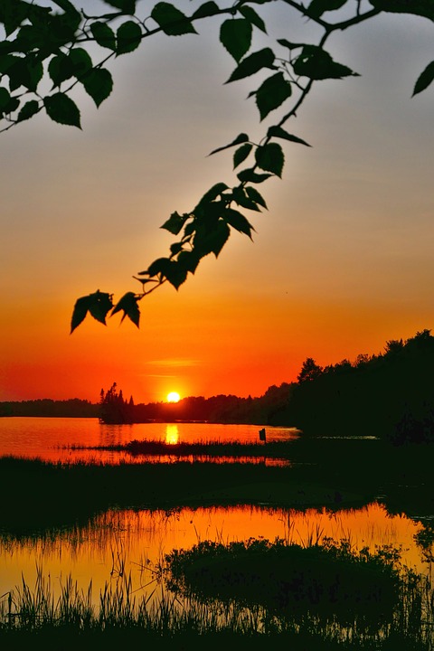 Klimawandel: Neue Studie zeigt drastische Folgen für Arktis  Eisbären