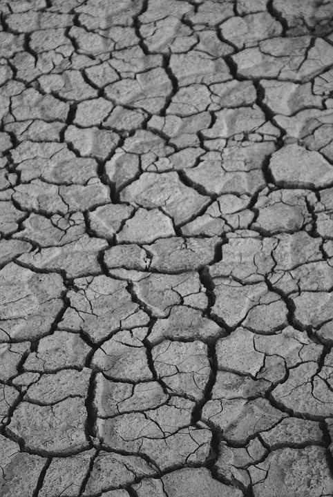 Klimawandel bedroht Arktis: Schmelzende Gletscher und steigende Temperaturen alarmieren Wissenschaftler