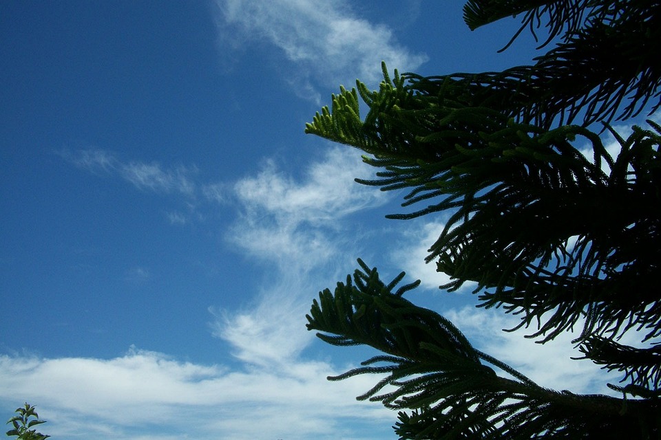 Online-Dating: Tipps für sichere und erfolgreiche Flirts