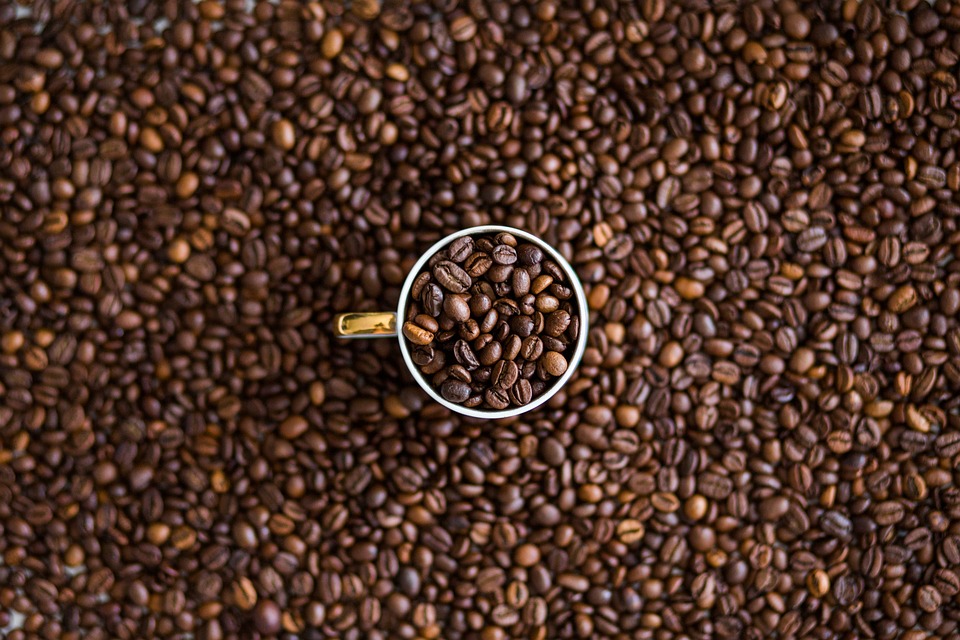 Starbucks enttäuscht mit Quartalszahlen: Umsatz und Gewinn unter Erwartungen